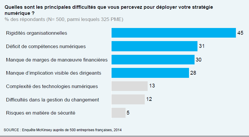 Difficultés transformation digitale